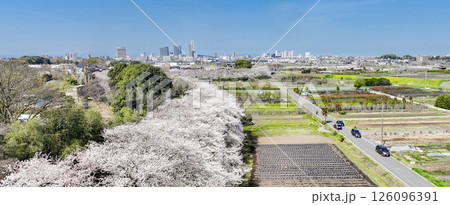 空撮「埼玉県」春・見沼田んぼの桜回廊 126096391