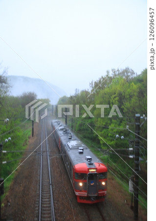 雨が滴る新緑の信濃路を走るしなの鉄道115系電車(しなの鉄道色)_2025/5/2撮影 126096457