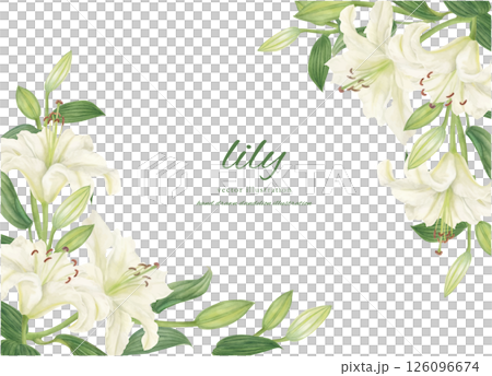 用水彩繪製的白色卡薩布蘭卡的框架材料 用水彩繪製的白色卡薩布蘭卡的框架材料 126096674