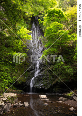新緑の琴滝（京都府船井郡京丹波町） 126097490