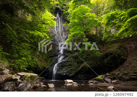 新緑の琴滝（京都府船井郡京丹波町） 126097492