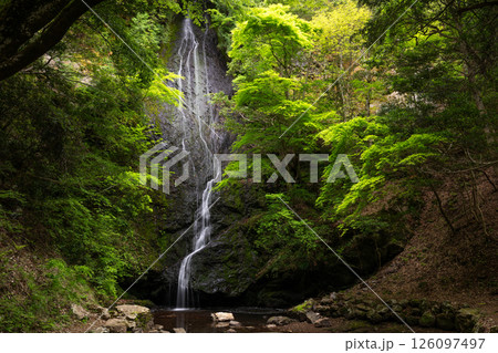新緑の琴滝（京都府船井郡京丹波町） 126097497