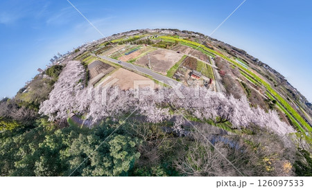 「埼玉県」360度カメラで撮影した春の見沼田んぼ 桜回廊 「埼玉県」360度カメラで撮影した春の見沼田んぼ 桜回廊 126097533