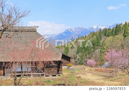 春の千国街道　小谷村沓掛の牛方宿 126097855