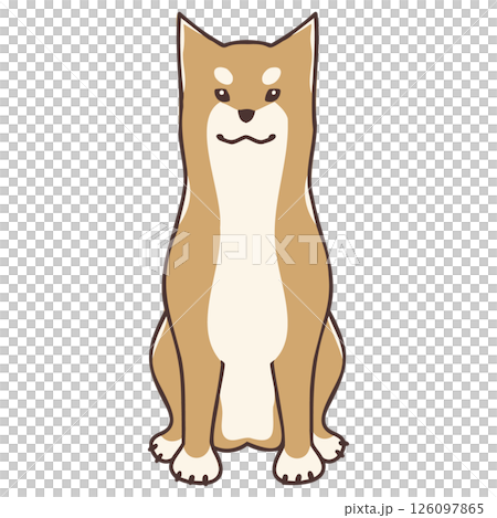 Shiba Inu送我 126097865