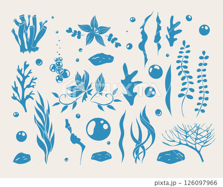 Hand drawn seaweed and coral collection in blue. Doodle plants, flowers, bubbles, stones. Vector illustration, big set. 126097966