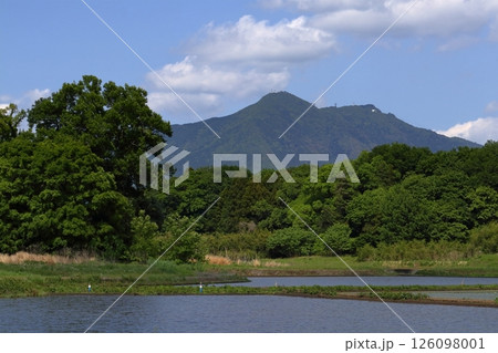 ロマンチック茨城(茨城県の象徴「筑波山」望む方向によって多彩な顔を見せてくれる。)つくば市、寺具 ロマンチック茨城(茨城県の象徴「筑波山」望む方向によって多彩な顔を見せてくれる。)つくば市、寺具 126098001