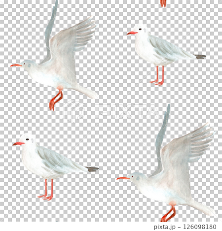 Flying and standing seagulls watercolor seamless pattern isolated on white. Hand-drawn clip art for cards, stationary, scrapbooking, wrapping paper, sea tourism products, dishes, fabric decor design Flying and standing seagulls watercolor seamless pattern isolated on white. Hand-drawn clip art for cards, stationary, scrapbooking, wrapping paper, sea tourism products, dishes, fabric decor design 126098180