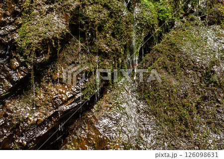 Water gently cascades over moss-covered rocks in a serene forest setting, showcasing nature's beauty during a tranquil afternoon 126098631