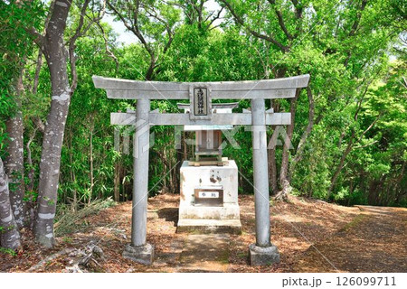 恵比寿神社 恵比寿神社 126099711