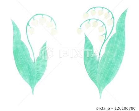 水彩風シンプルなすずらんのイラスト 126100780