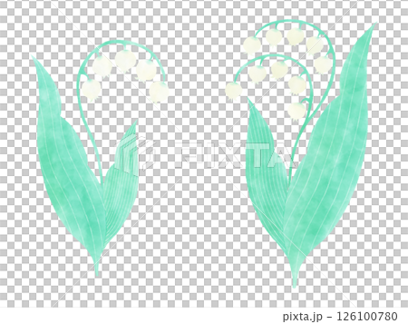 水彩風シンプルなすずらんのイラスト 126100780