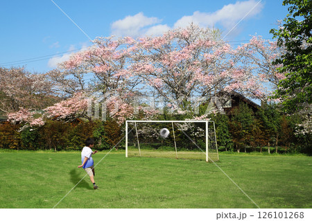 サッカー1 126101268