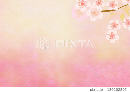 背景素材 初春に咲く梅の花 126102295