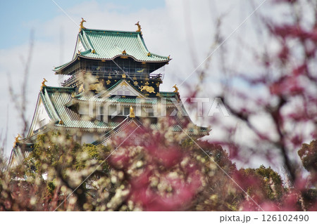 大阪城公園の梅林の春の情景 126102490