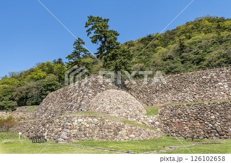鳥取県鳥取市　鳥取城跡（巻石垣） 126102658