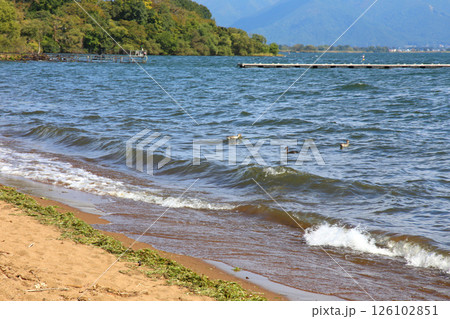 猪苗代湖　猪苗代観光船　猪苗代　はくちょう丸　長浜　湖畔　かめ丸　白鳥ボート　湖　福島県　翁沢　　　 126102851