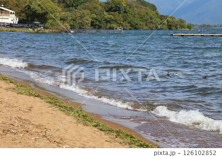 猪苗代湖 猪苗代観光船 猪苗代 はくちょう丸 長浜 湖畔 かめ丸 白鳥ボート 湖 福島県 翁沢 猪苗代湖 猪苗代観光船 猪苗代 はくちょう丸 長浜 湖畔 かめ丸 白鳥ボート 湖 福島県 翁沢 126102852