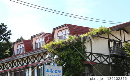 猪苗代湖　猪苗代観光船　猪苗代　はくちょう丸　長浜　湖畔　かめ丸　白鳥ボート　湖　福島県　翁沢　　　 126102856