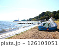 猪苗代湖　猪苗代観光船　猪苗代　はくちょう丸　長浜　湖畔　かめ丸　白鳥ボート　湖　福島県　翁沢 126103051