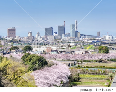 空撮「埼玉県」春・見沼田んぼの桜回廊 さいたま市 空撮「埼玉県」春・見沼田んぼの桜回廊 さいたま市 126103307
