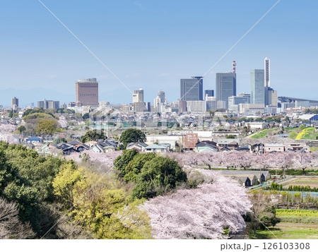 空撮「埼玉県」春・見沼田んぼの桜回廊 さいたま市 空撮「埼玉県」春・見沼田んぼの桜回廊 さいたま市 126103308
