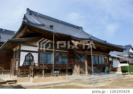 松江藩のお寺 春の天倫寺 松江藩のお寺 春の天倫寺 126103429