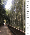 竹林の小径を抜ける 126105391