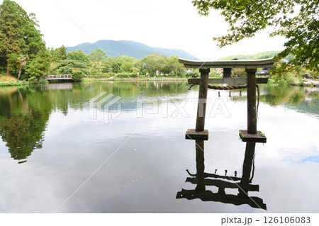初夏の大分県・湯布院の金鱗湖と鳥居 初夏の大分県・湯布院の金鱗湖と鳥居 126106083