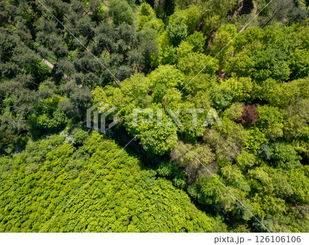 Halle, Vlaams Brabant, Belgium, 27th of April, 2025, A Stunning Aerial Perspective Showing a Lush 126106106
