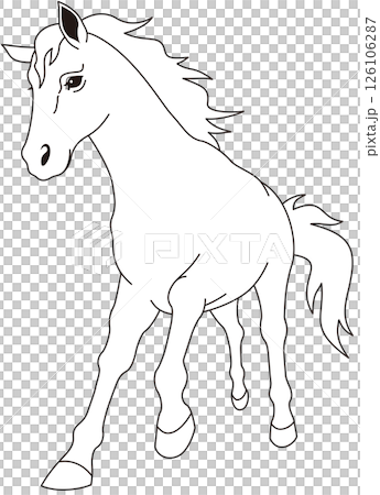 Running white horse, front, monochrome 126106287