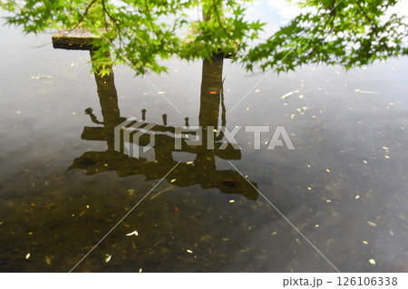 大分県・湯布院の金鱗湖に写り込む鳥居と青紅葉 126106338