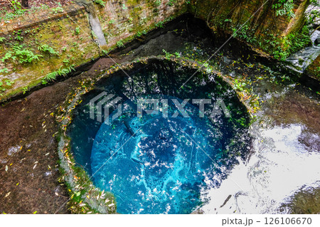 静岡県三島市の柿田川湧水群 126106670