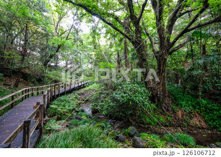静岡県三島市の柿田川湧水群 126106712