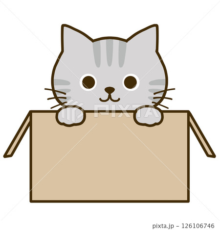 ダンボールに入って何かを伝えるグレーのトラ猫 126106746