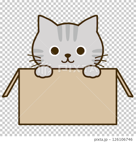 ダンボールに入って何かを伝えるグレーのトラ猫 126106746