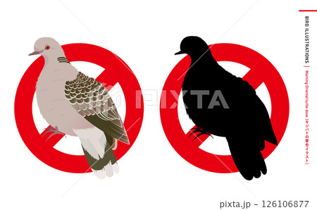 鳩やキジバトなどの野鳥シルエットとリアルなカラーベクターイラスト:ハトのエサやり禁止・注意・警告など 鳩やキジバトなどの野鳥シルエットとリアルなカラーベクターイラスト:ハトのエサやり禁止・注意・警告など 126106877