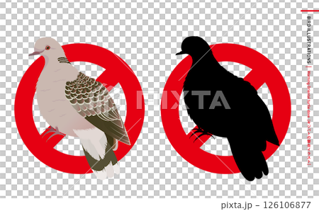 鳩やキジバトなどの野鳥シルエットとリアルなカラーベクターイラスト:ハトのエサやり禁止・注意・警告など 鳩やキジバトなどの野鳥シルエットとリアルなカラーベクターイラスト:ハトのエサやり禁止・注意・警告など 126106877