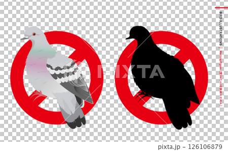 Wild bird silhouettes and realistic color vector illustrations of pigeons, rock pigeons, etc. 126106879