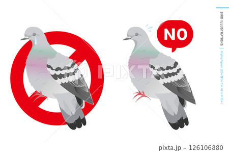 泣く鳩やドバト(カワラバト)などの野鳥シルエットとリアルなカラーベクターイラスト 126106880