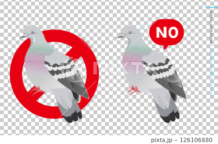 泣く鳩やドバト(カワラバト)などの野鳥シルエットとリアルなカラーベクターイラスト 126106880