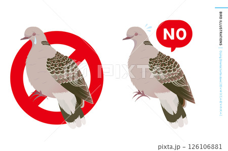 泣く鳩・キジバトの野鳥のリアルなカラーベクターイラスト:noと言うハトのエサやり禁止・注意・警告など 泣く鳩・キジバトの野鳥のリアルなカラーベクターイラスト:noと言うハトのエサやり禁止・注意・警告など 126106881