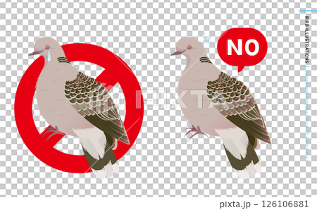 泣く鳩・キジバトの野鳥のリアルなカラーベクターイラスト:noと言うハトのエサやり禁止・注意・警告など 泣く鳩・キジバトの野鳥のリアルなカラーベクターイラスト:noと言うハトのエサやり禁止・注意・警告など 126106881