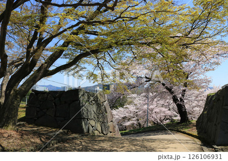 盛岡さくらまつり、盛岡城跡公園（本丸） 126106931