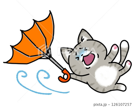 台風被害に遭う猫ちゃん 126107257