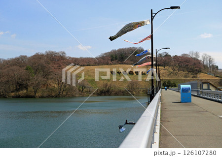 四十四田ダムのダムこいのぼり 126107280