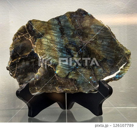 Labradorite Slab Displayed on Black Stand with Iridescent Flash 126107789