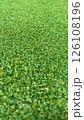 リアルな人工芝テクスチャ（前後ボケ） 126108196