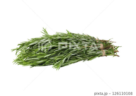 PNG, Rosemary, seasoning, isolated on white background PNG, Rosemary, seasoning, isolated on white background 126110108