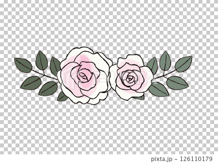 Two pink rose flowers Two pink rose flowers 126110179